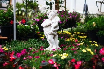 How Often Should I Water My Flower Garden