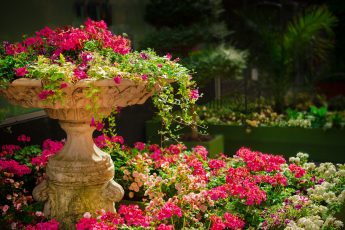 How To Create A Flower Garden