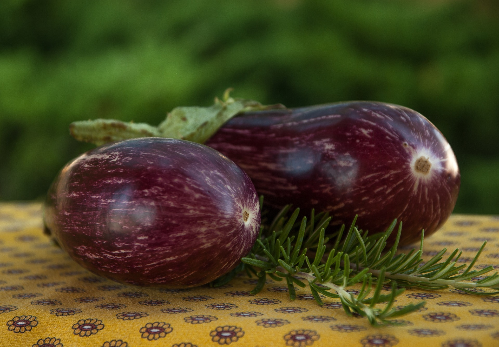 Whats A Nightshade Vegetable