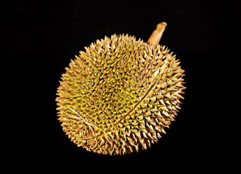 What Are Some Exotic Fruits?