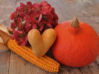 What Are Starchy Vegetables?