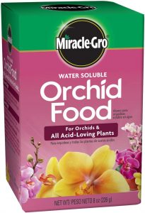 Best Fertilizers For Orchids