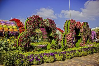 Where Is The World’s Largest Natural Flower Garden?