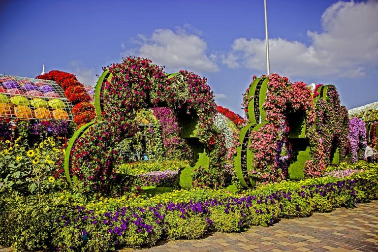 Where Is The World’s Largest Natural Flower Garden? Complete Overview