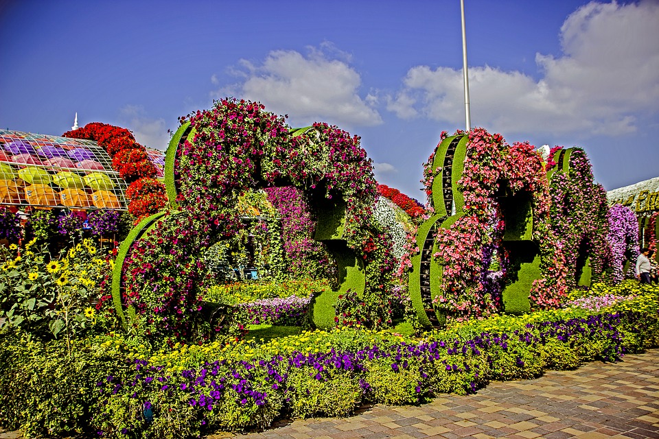 Where Is The World's Largest Natural Flower Garden?