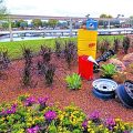 When Is The Disney Flower And Garden Festival?