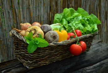 What Are The Four Main Types Of Vegetables?