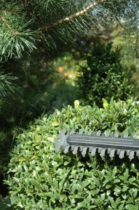 Best Electric Hedge Trimmer