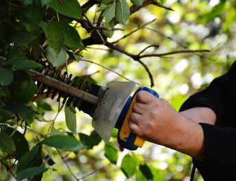 9 Best Cordless Hedge Trimmers