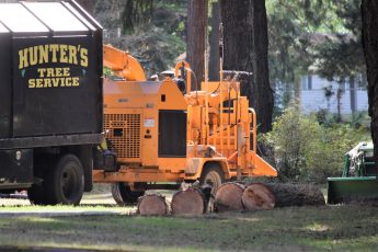 Best Chipper Shredders