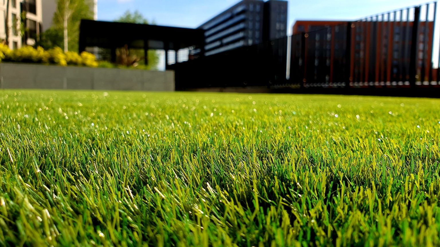 Best Artificial Grass And Artificial Turf Full Overview