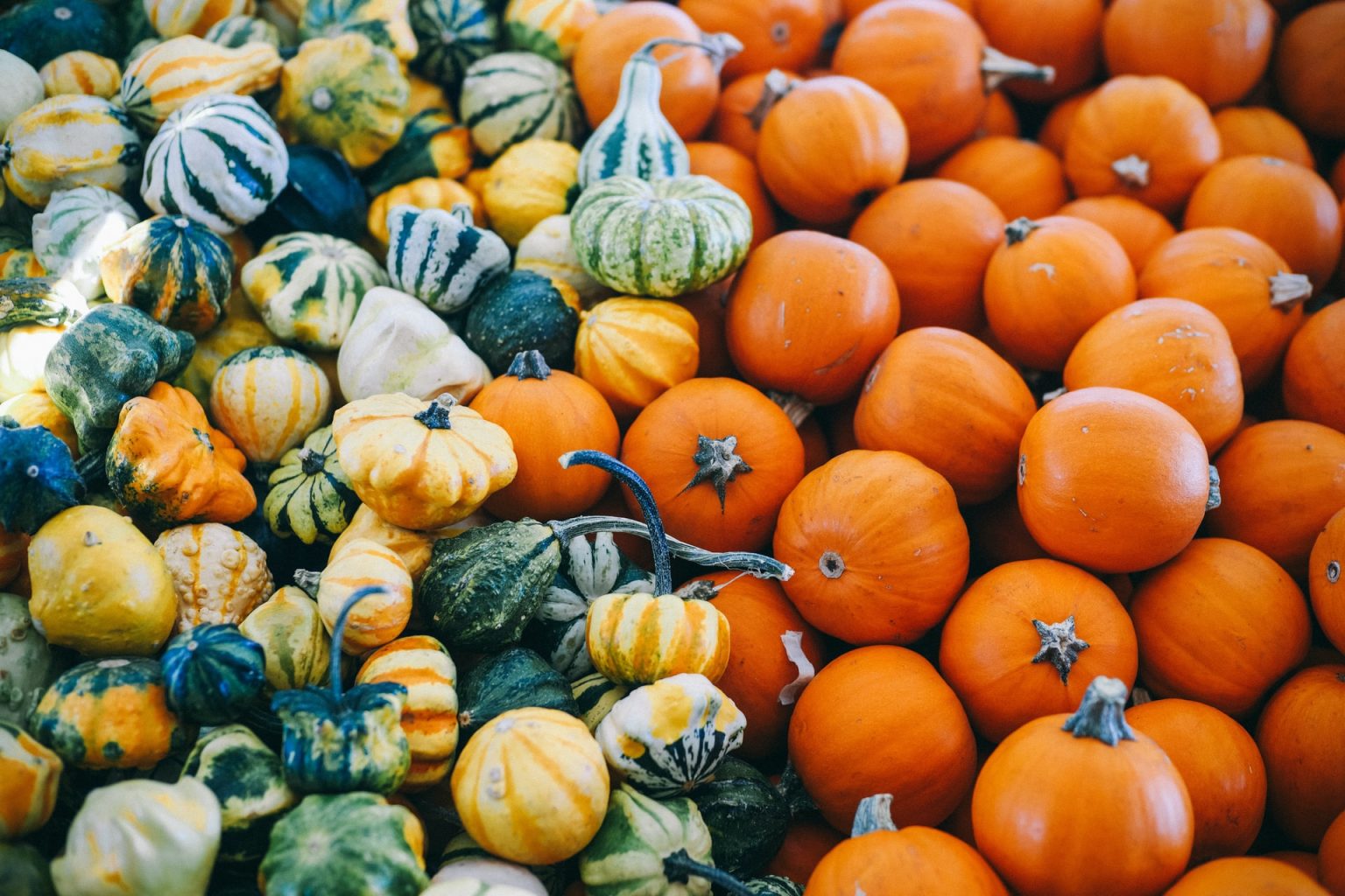 orange-vegetable-list-detailed-overview-advice-more
